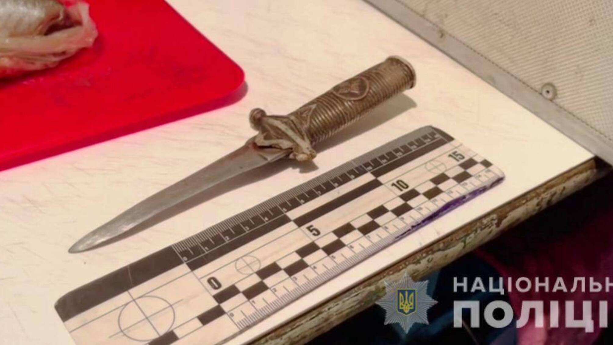 Правоохоронці затримали підозрюваного в умисному вбивстві жительки Маяк на Одещині