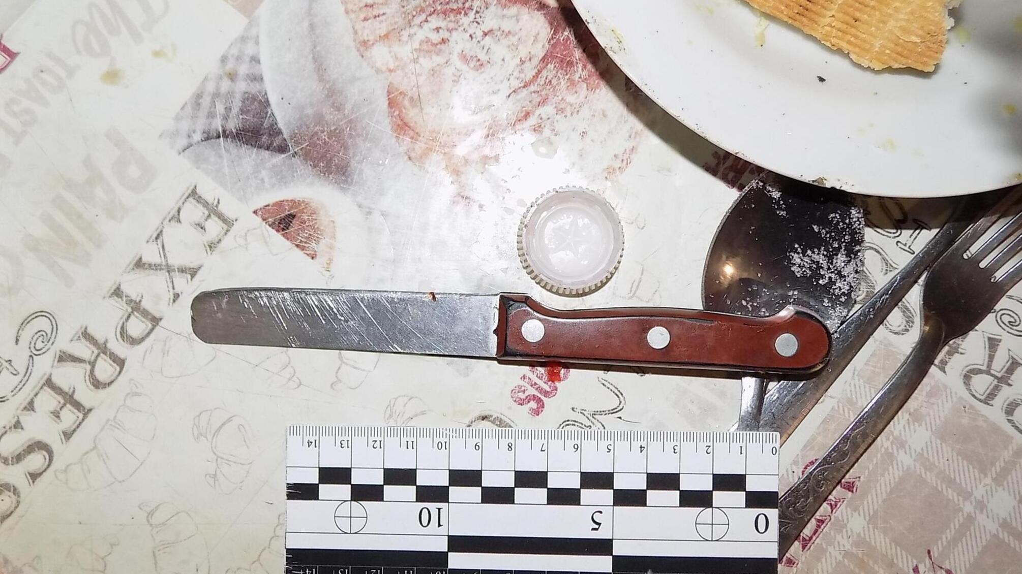 Поліцейські затримали 60-річного мешканця Білгород-Дністровського району за замах на вбивство пасинка