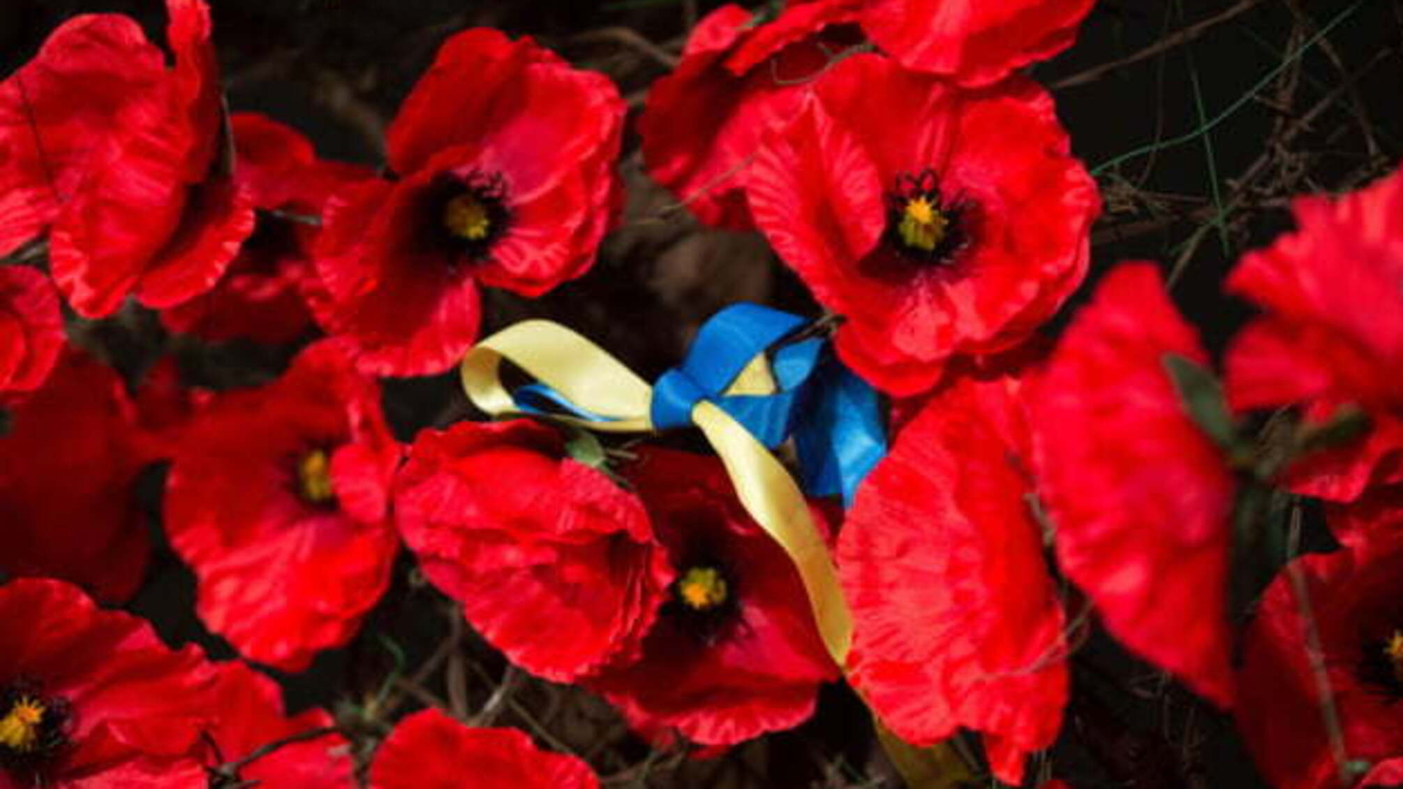22 червня: народний календар і астровісник