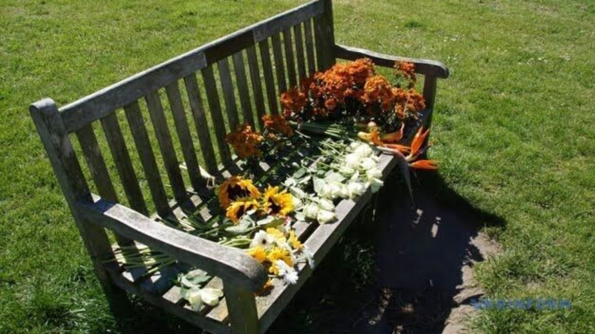 Родичі загиблих рейсу МН17 влаштували протест під посольством РФ у Гаазі