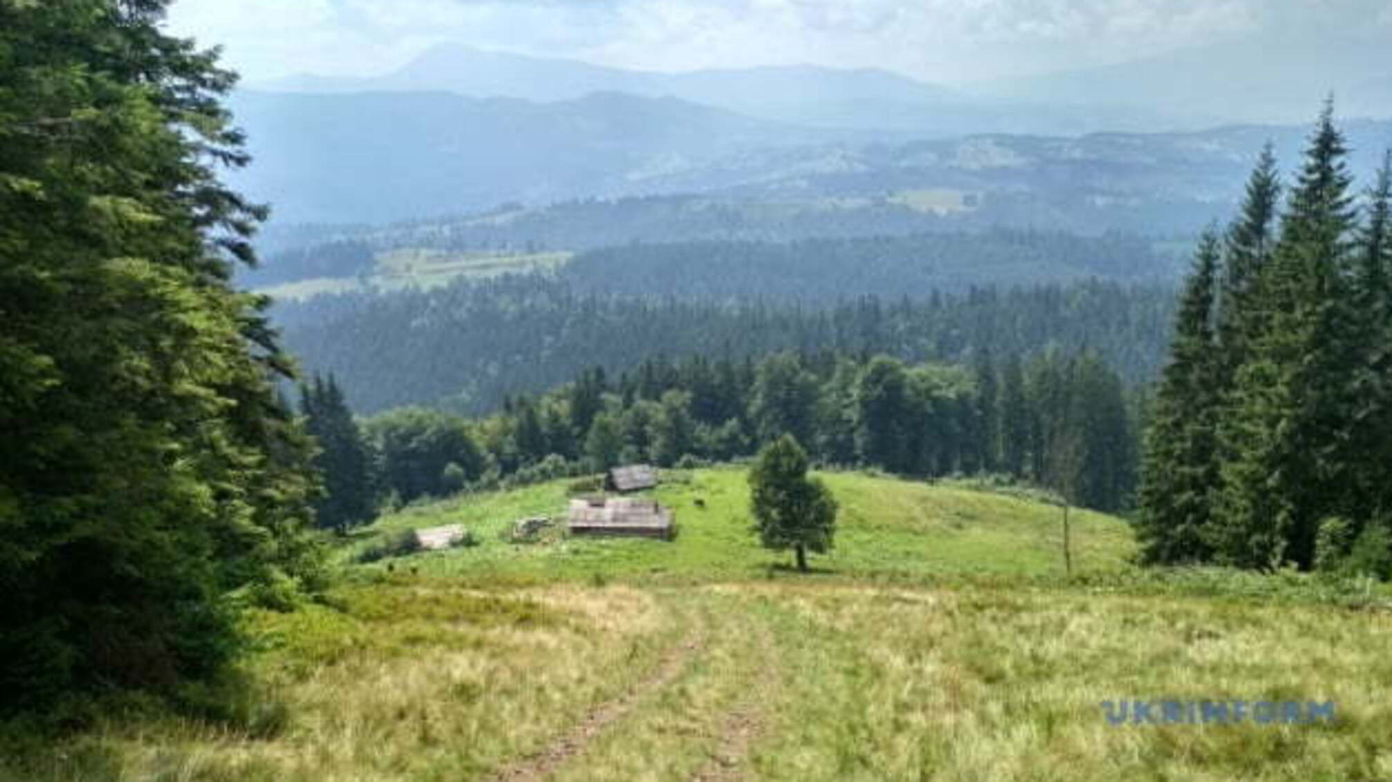 У Карпатах відновили кінні мандрівки та фотополювання