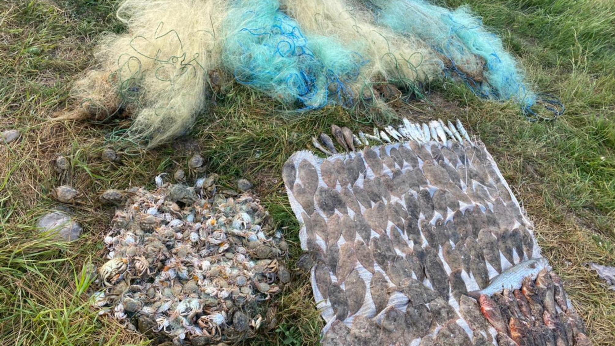 Водна поліція викрила жителя Білгород-Дністровського району в незаконному вилові біоресурсів з Чорного моря