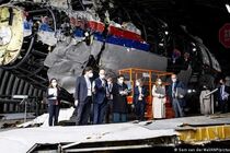 Катастрофа MH17: в Гааге показали доказательства против России (фото, видео)