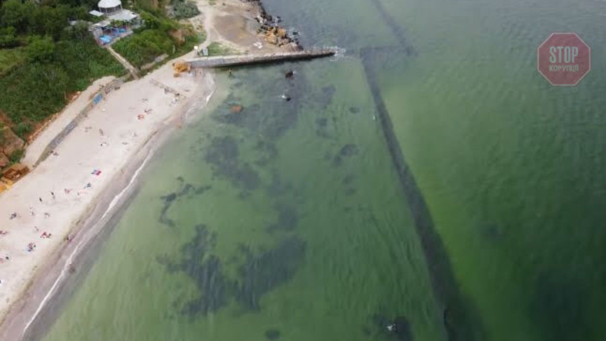 В Одессе море «озеленое» из-за мусора (видео)