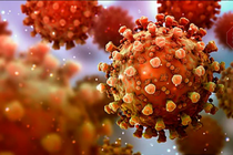 ВООЗ: ''Дельта'' – найбільш заразний штам коронавірусу