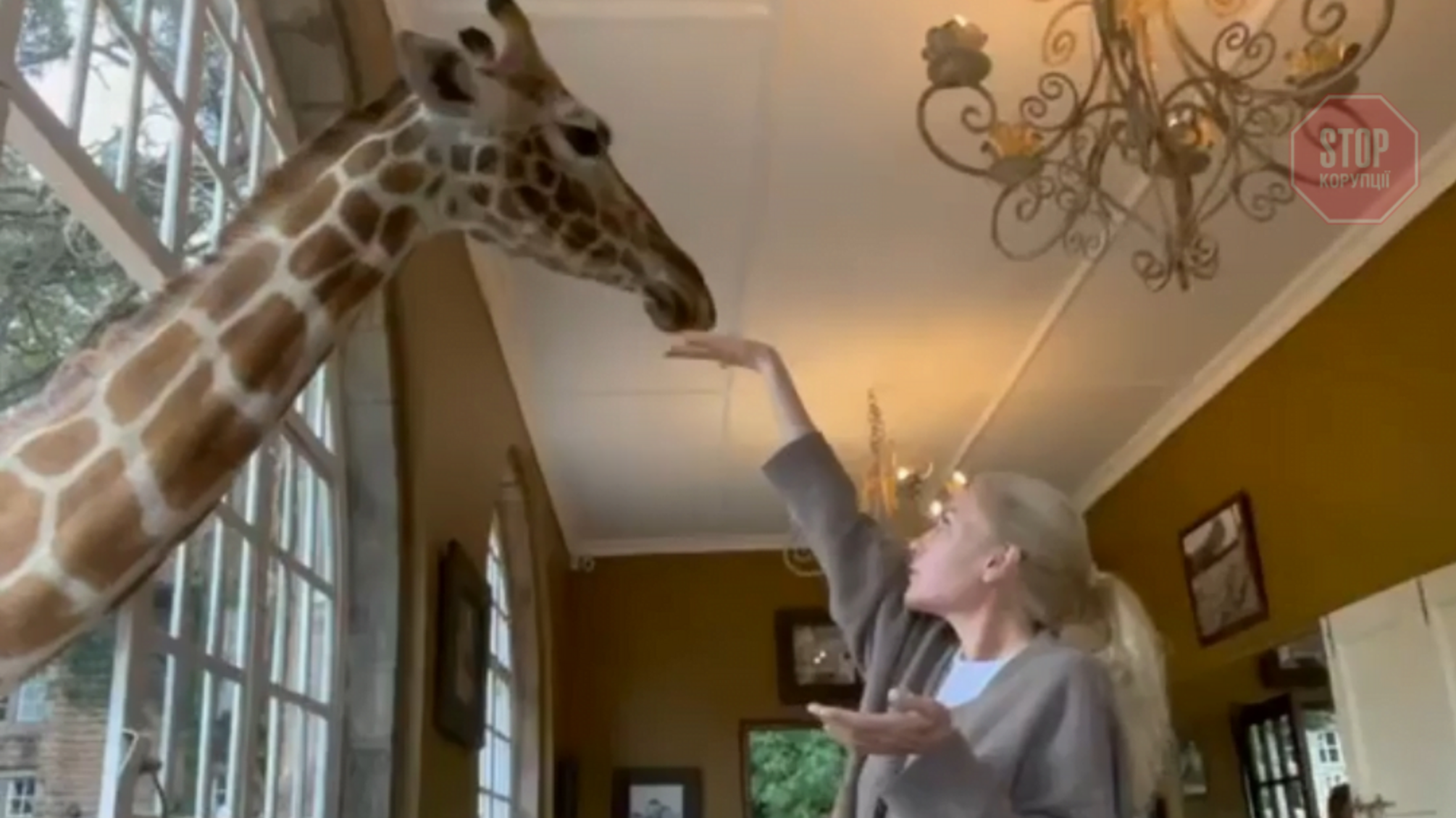 1700 доларів за добу: удова Кернеса відсвяткувала іменини в елітному готелі