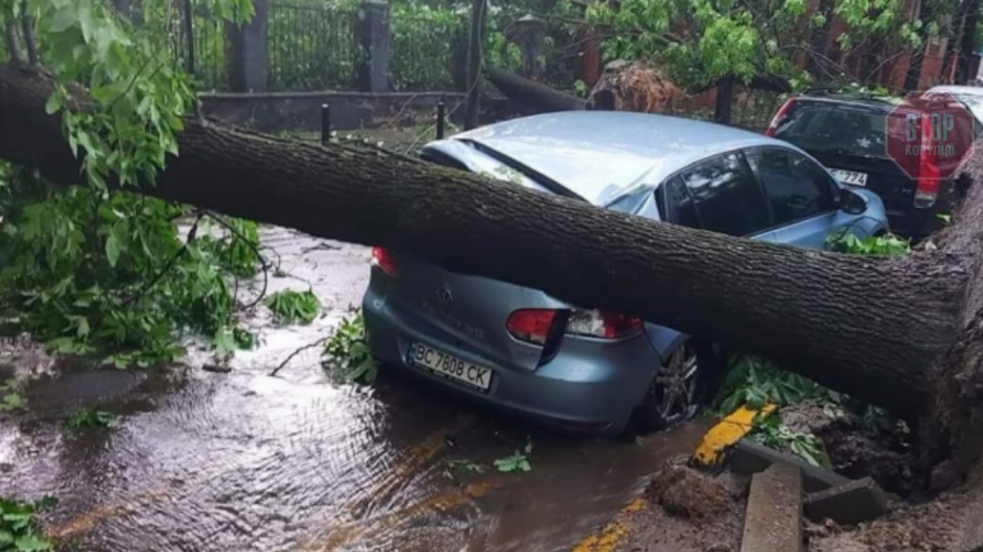 Сильна злива і повалені дерева: Львів накрила буря