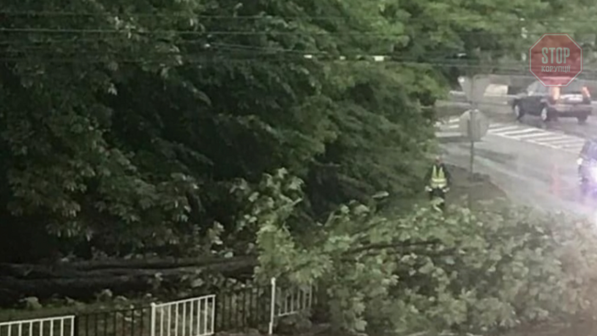 Во Львове штормит второй раз за неделю (видео)