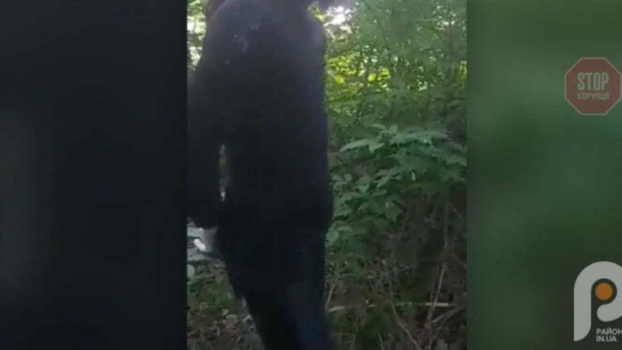 На Волині правоохоронці затримали в лісі священика Московського патріархату у жіночому одязі (відео)