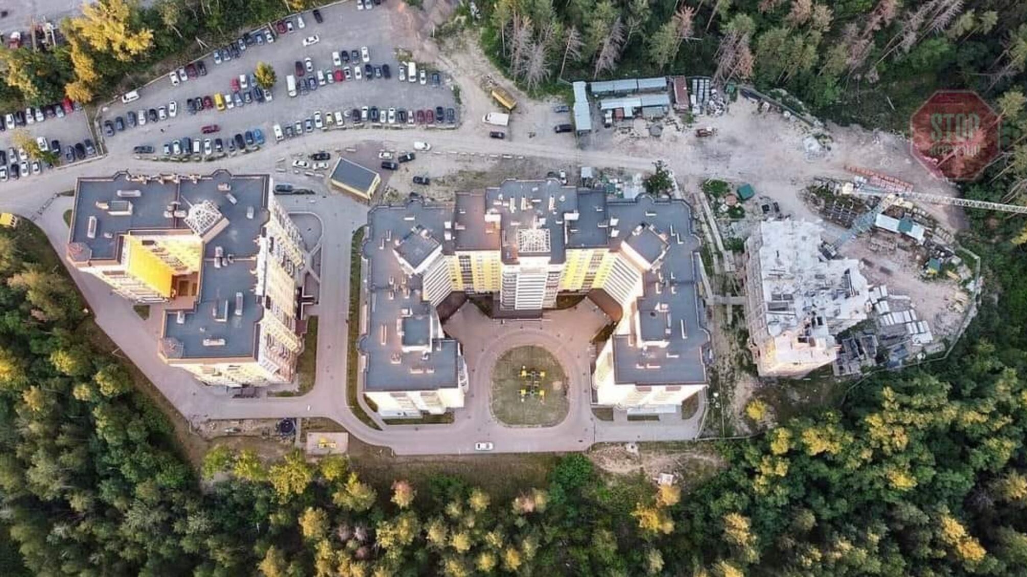 В Вышгороде в Киевской области застройщик захватил и вырубил лес (фото)