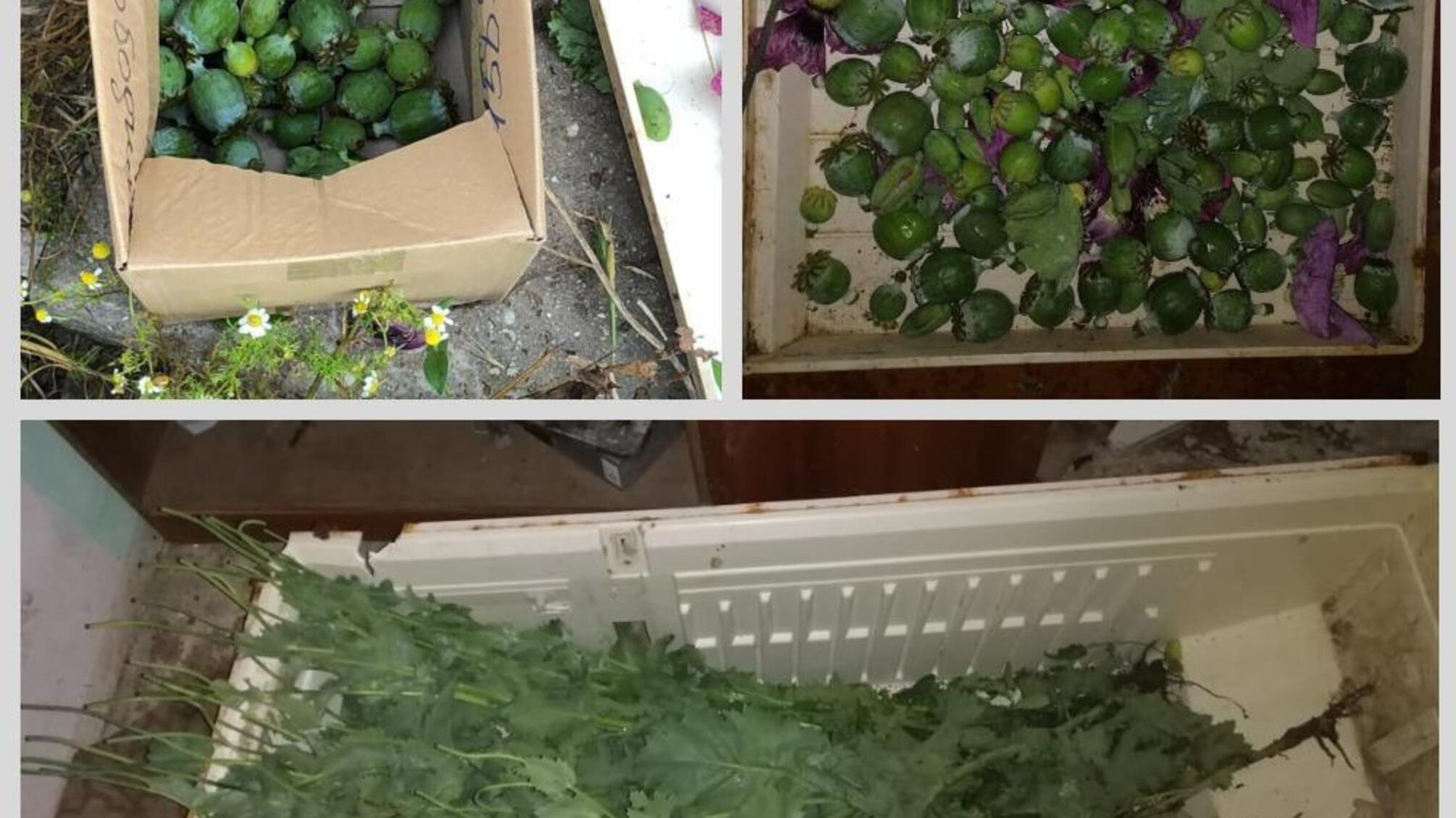 Поліцейські викрили чотирьох жителів Одещини у наркозлочинах