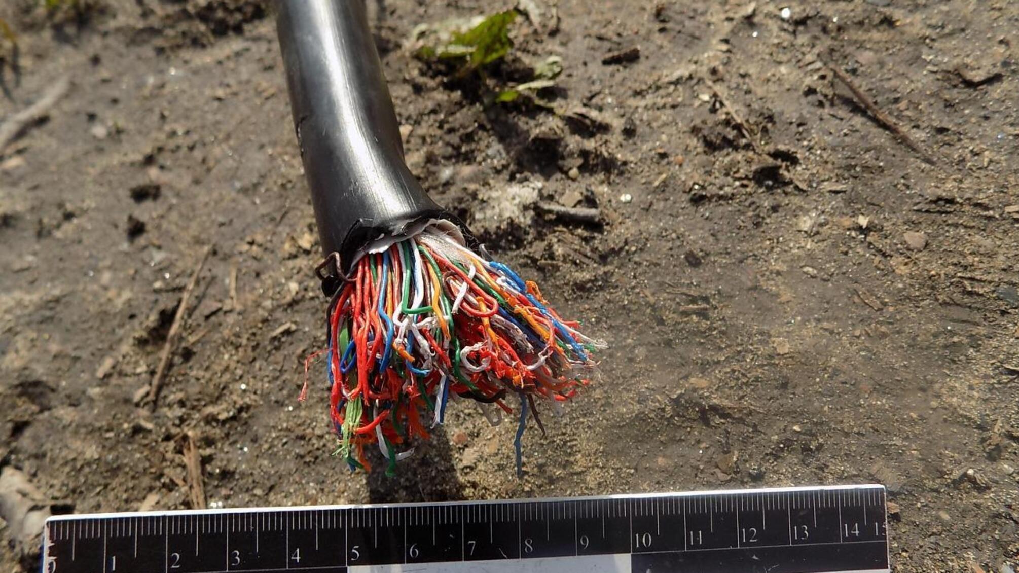 Поліцейські викрили чотирьох жителів Одещини у крадіжках