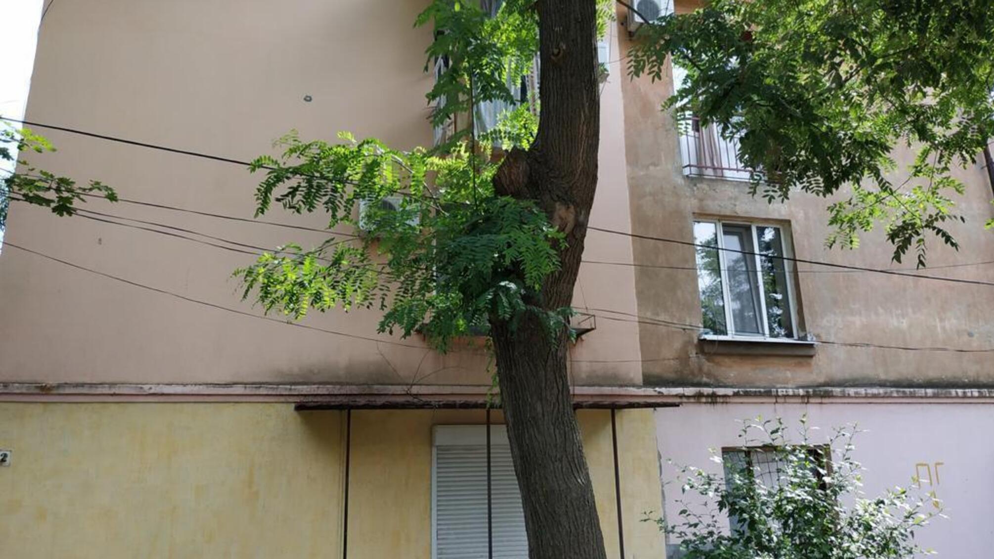 Поліцейські за кілька годин затримали 27-річного ізмаїльчанина, який пограбував знайому