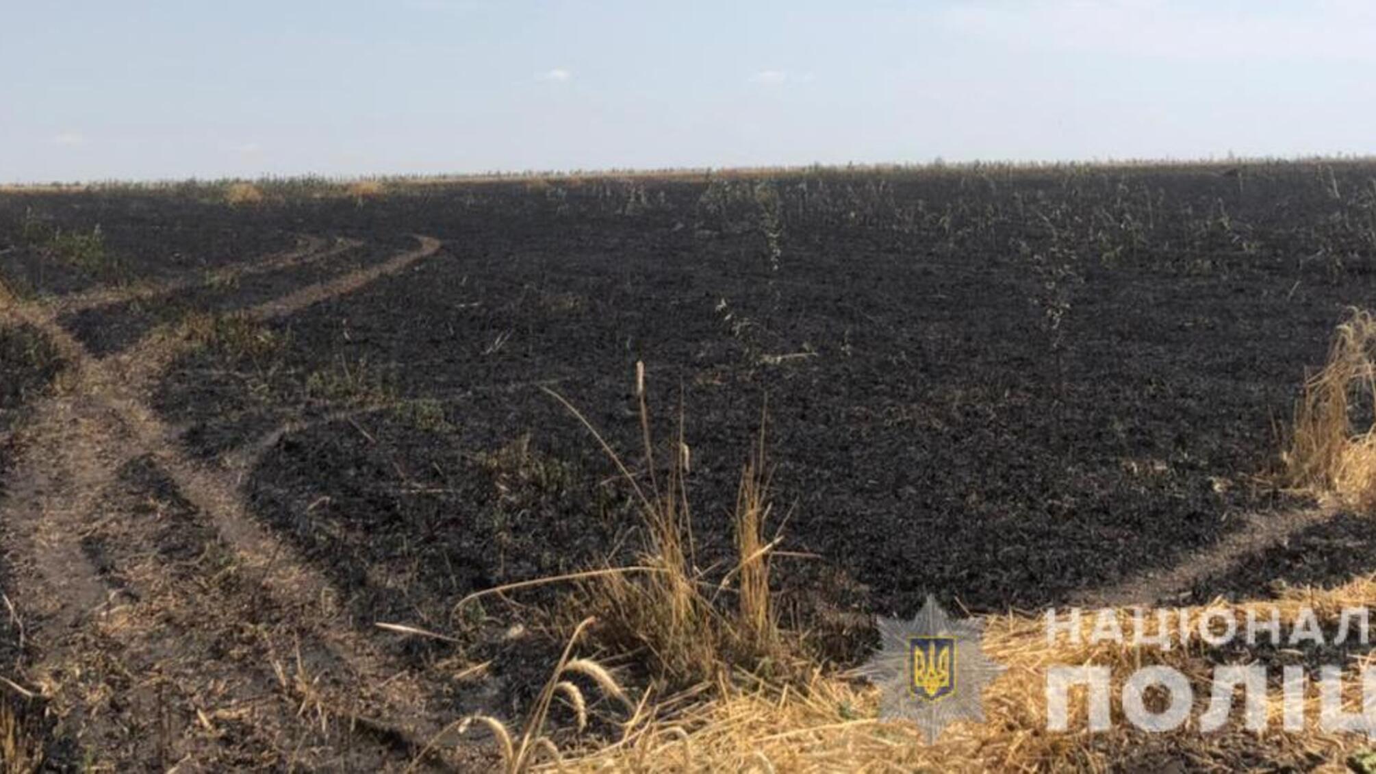 Поліцейські розслідують обставини пожежі на пшеничному полі в Подільському районі