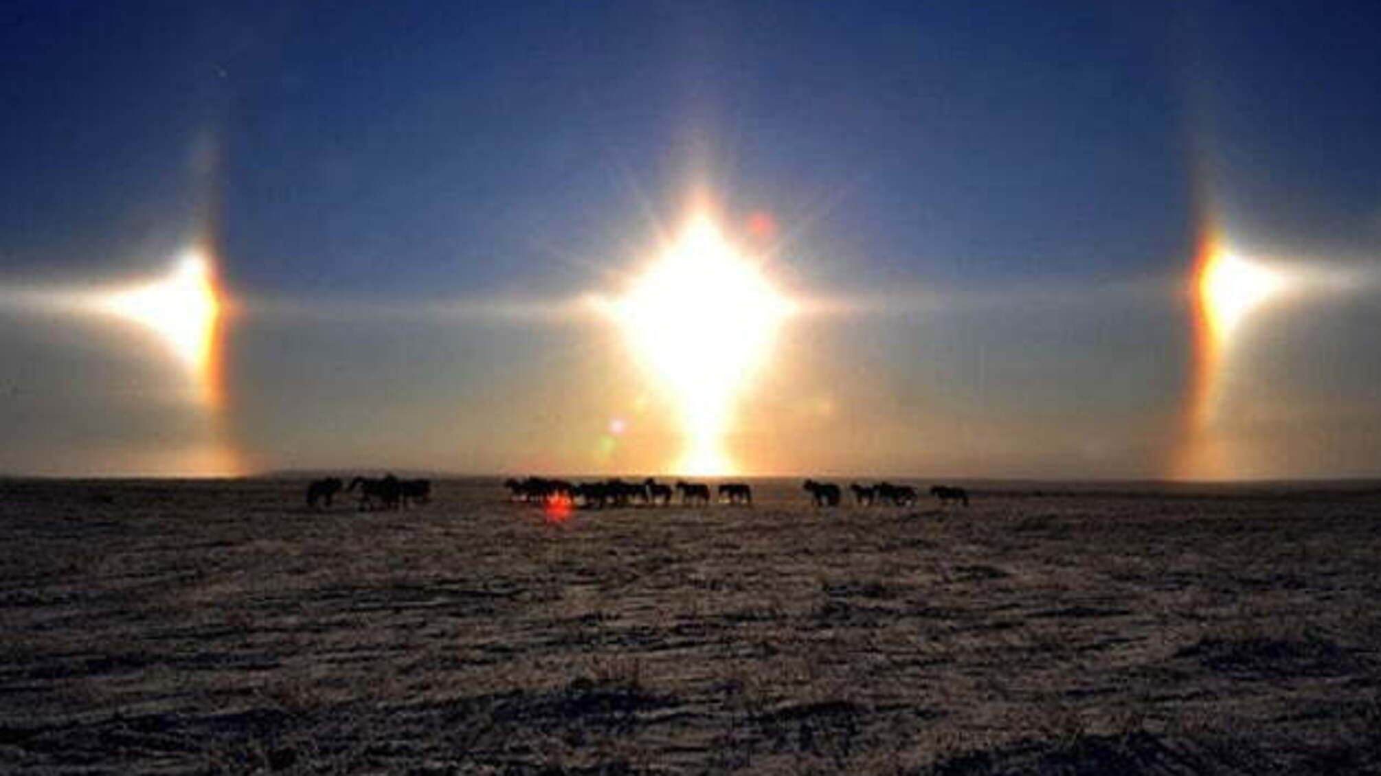 У Китаї створили пластмасу, що за тиждень розкладається на сонці