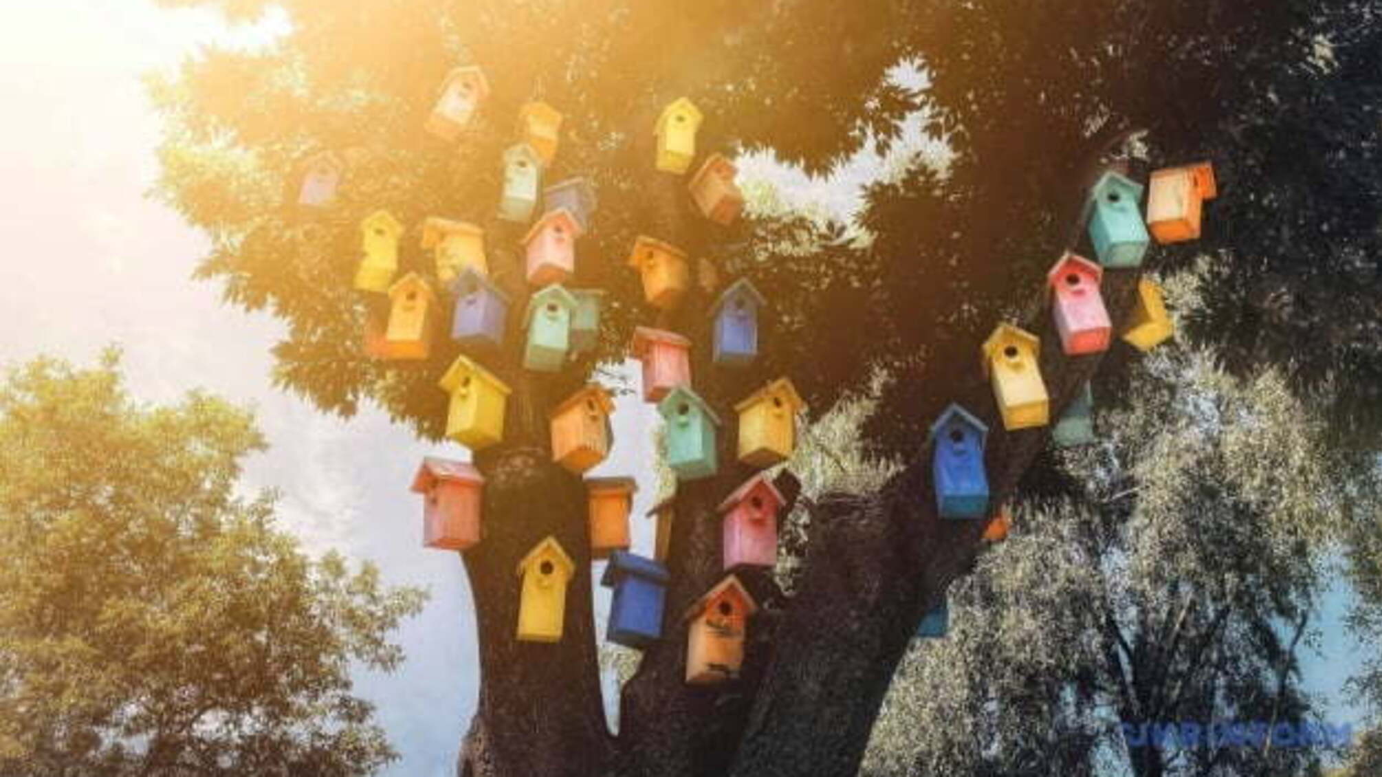 35-градусна спека висушить дощі у більшості областей