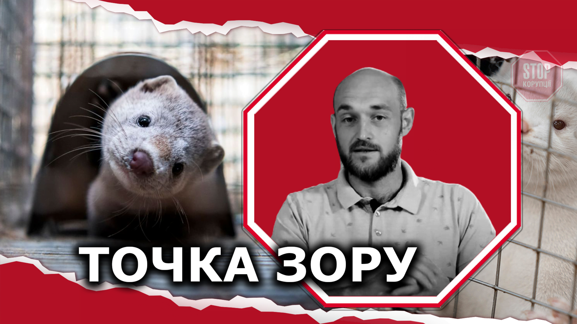 Что нового: закрытие норковой фермы, коллапс в столичном ЖК и восхождение 'СтопКора' на Говерлу