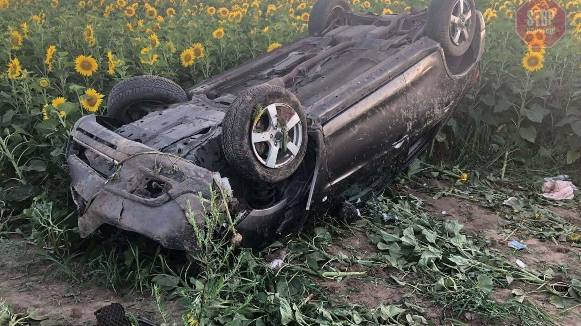 На Рівненщині у ДТП загинула 8-річна дитина (фото)