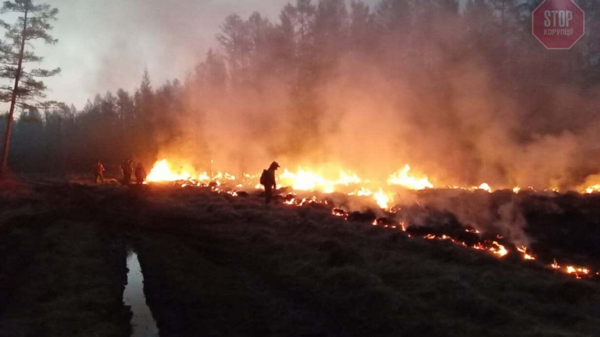 Масштабна пожежа в РФ: горить 14 тисяч гектарів лісу, є загиблий