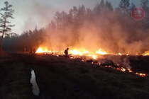 Масштабный пожар в РФ: горит 14 тысяч гектаров леса, есть погибший