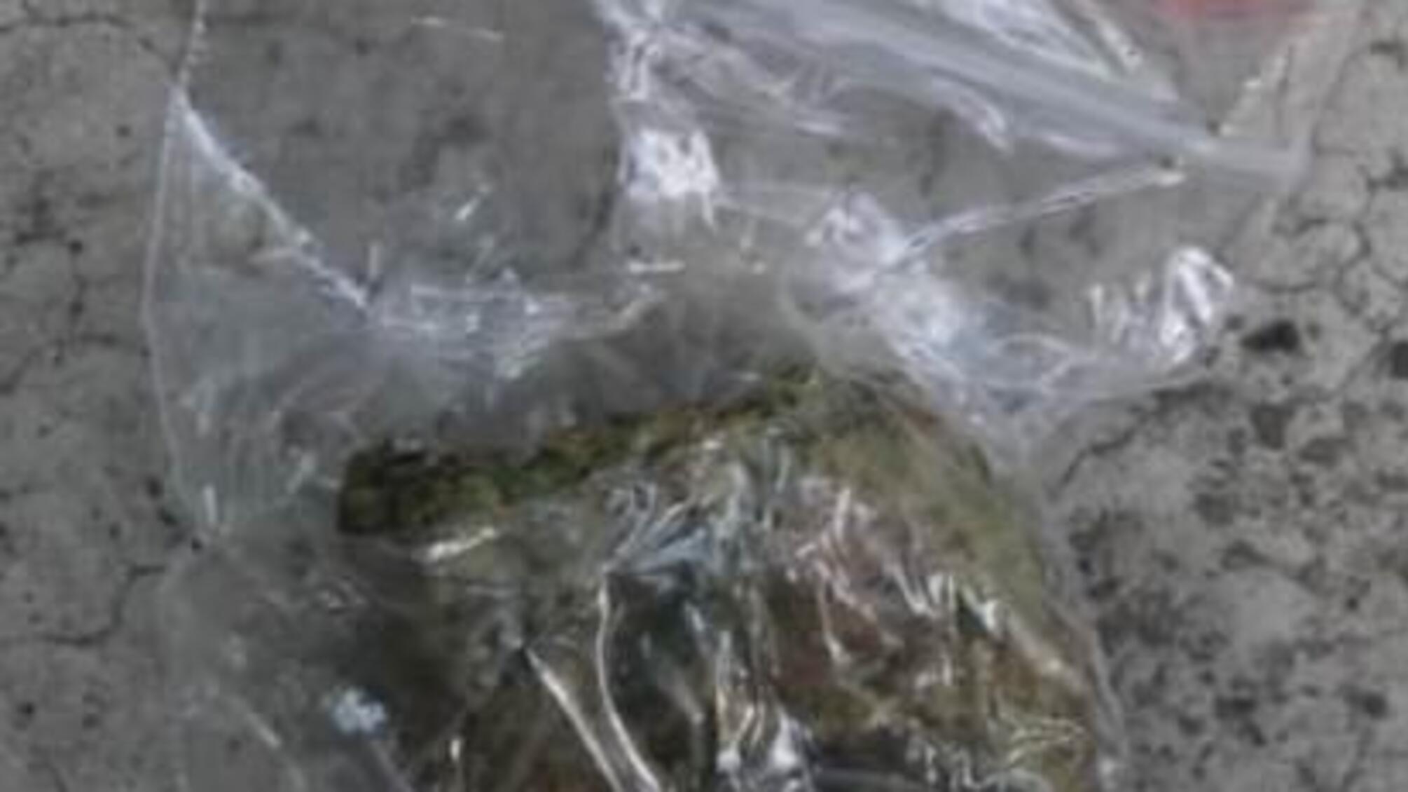 Поліцейські викрили 19-річного одесита у збуті наркотиків