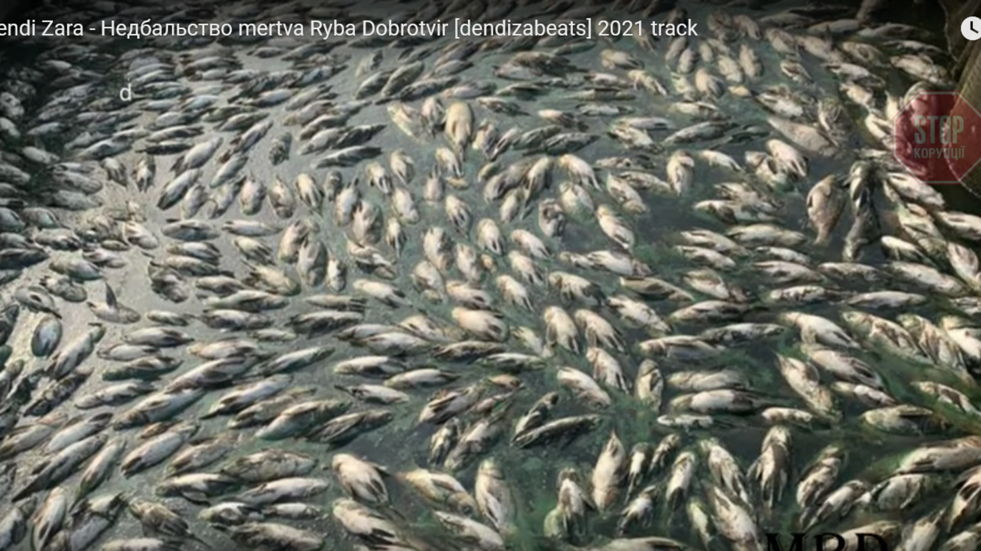 «Зранку – в газеті, ввечері – в куплеті»: репер відреагував на публікації «СтопКору» про мор риби на Львівщині