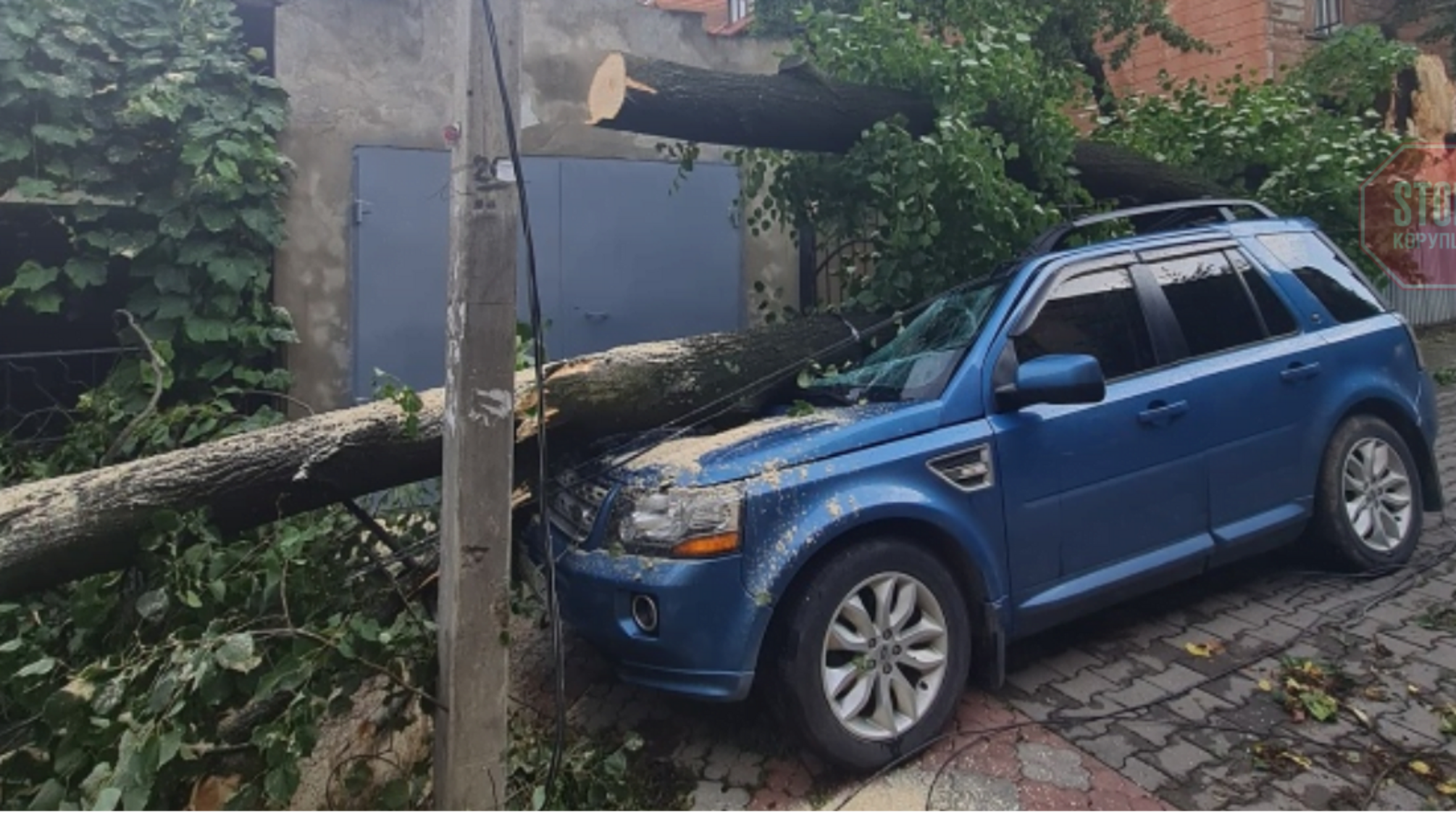 Повалені дерева та затоплені вулиці: на Чернівці налетіла злива (відео)