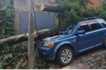 Поваленные деревья и затопленные улицы: на Черновцы налетел ливень (видео)