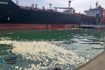 Під Одесою у море скинули 8,5 тонн пальмової олії
