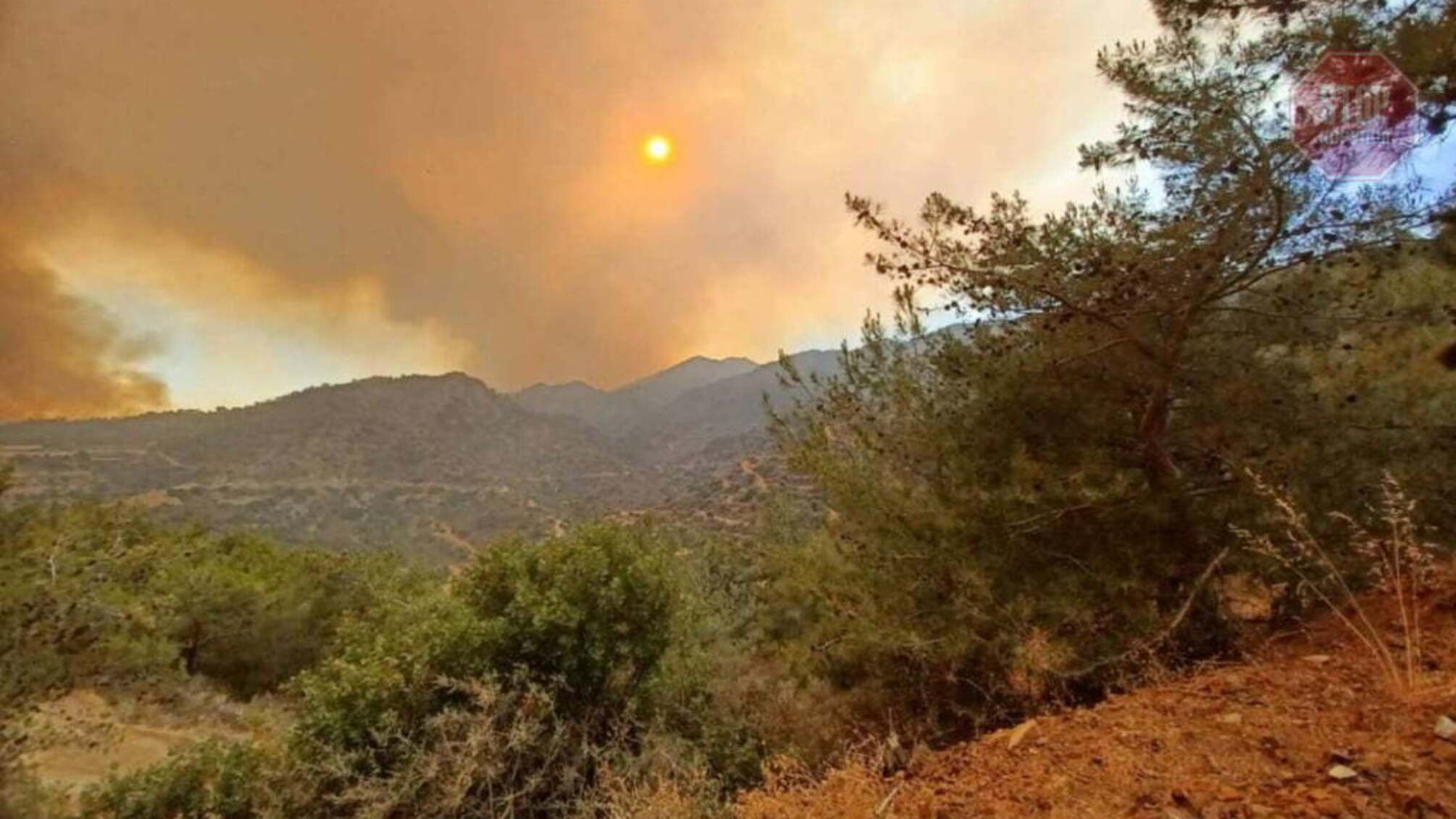 На Кипре бушует масштабный лесной пожар, есть жертвы