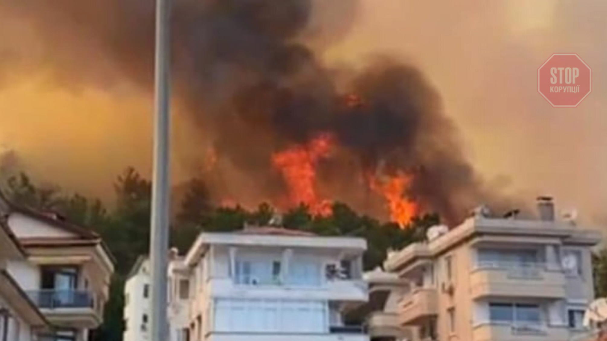 В Турции из-за лесных пожаров эвакуируют туристов (видео)