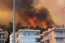 У Туреччині через лісові пожежі евакуюють туристів (відео)
