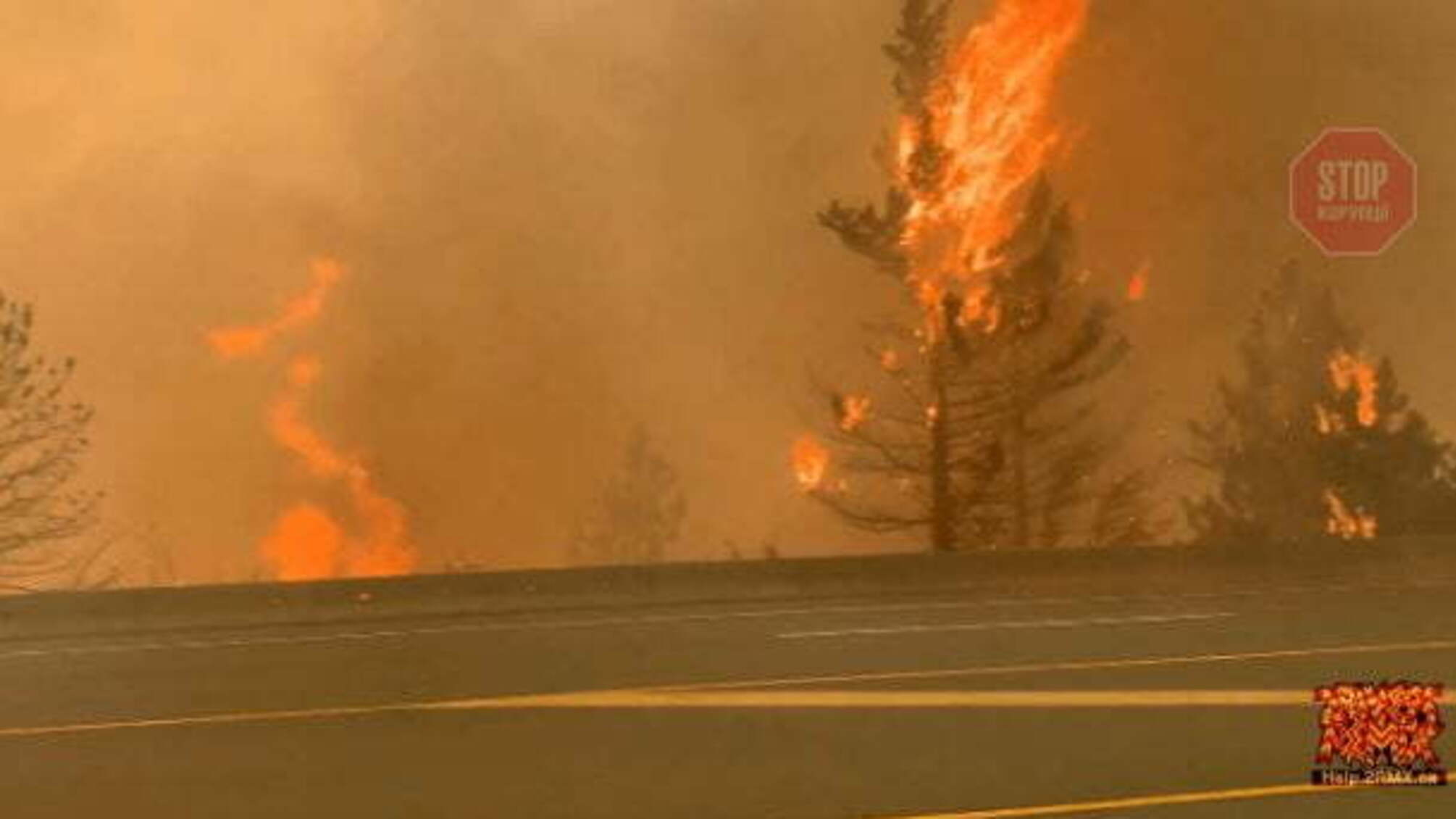 В Канаде пожар уничтожил небольшой городок за три дня