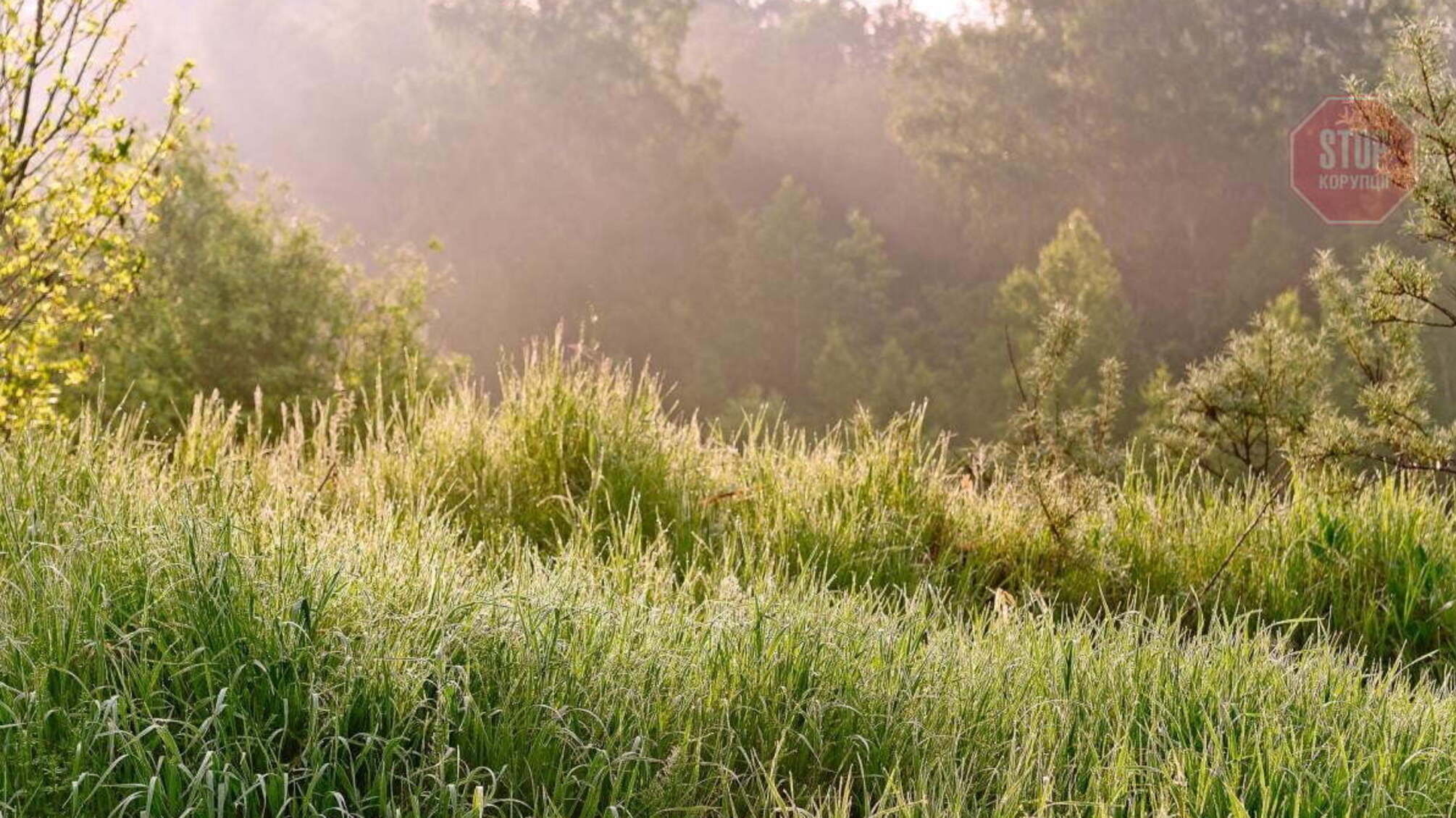 Синоптики прогнозируют дневную жару с прохладными ночами