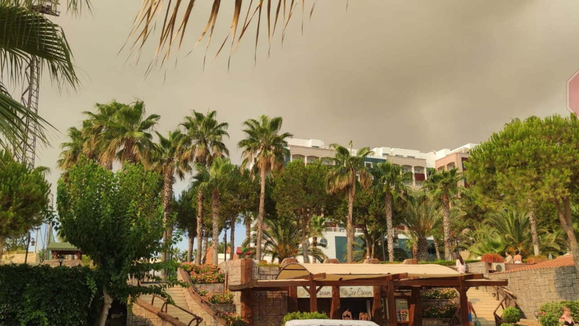 Пепел с неба: подробности пожара в Турции (фото, видео)