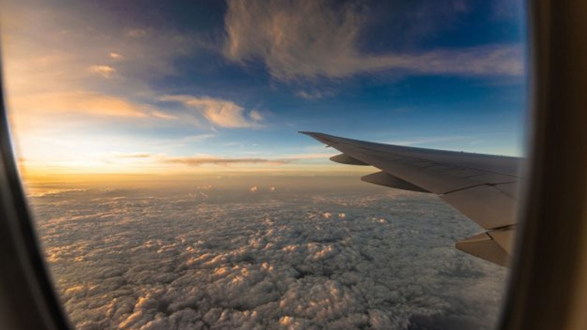 Дев'ять евакуйованих афганців попросили про статус біженця в Україні