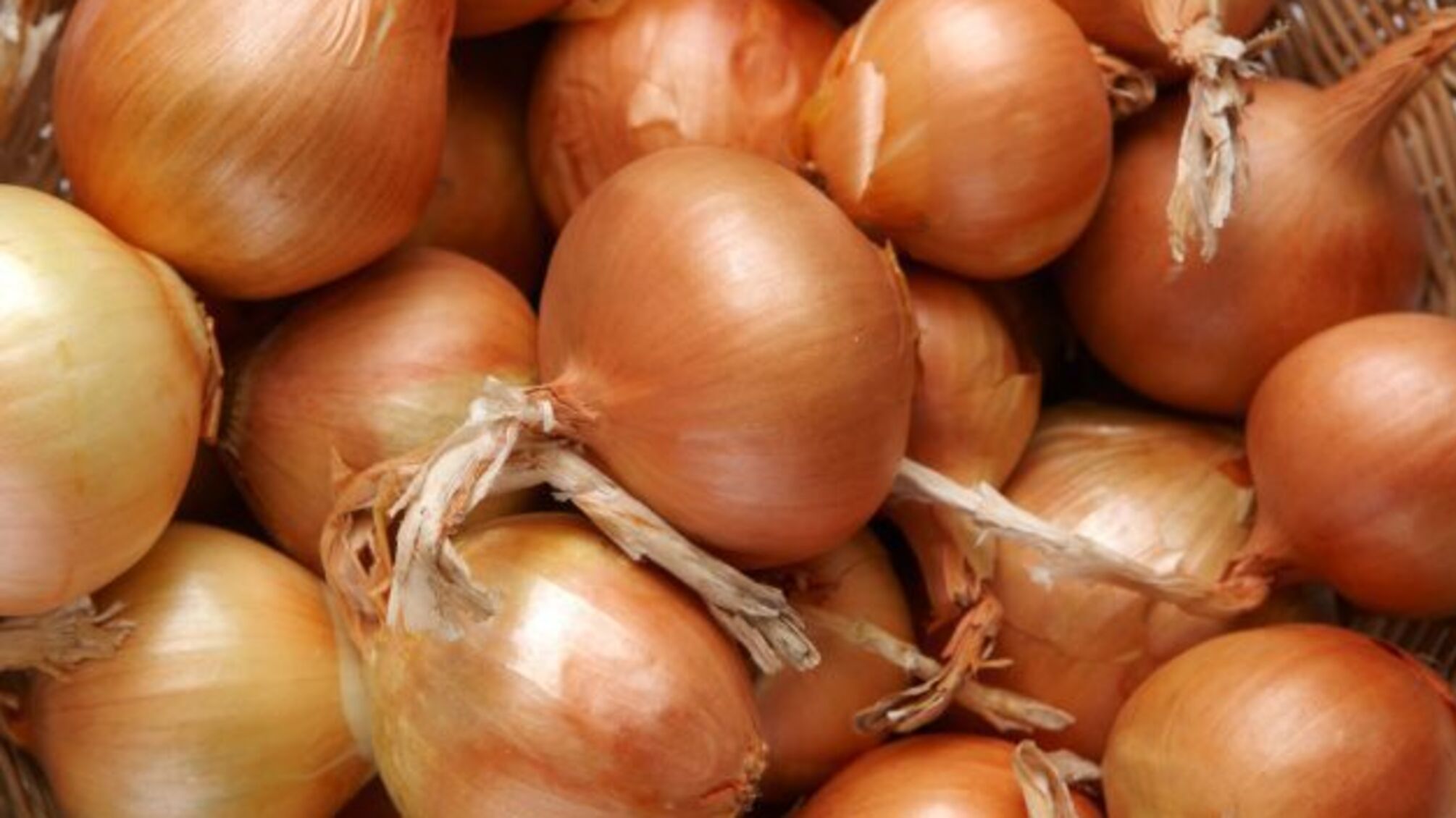 Україна збільшила експорт цибулі і розширила географію поставок