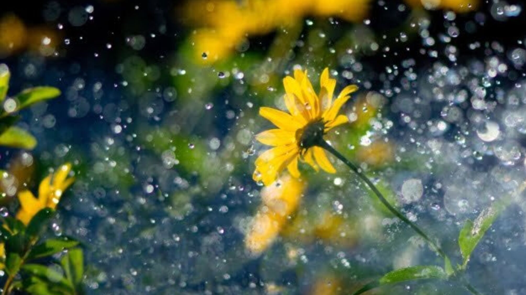 В Україну йде довгоочікувана прохолода