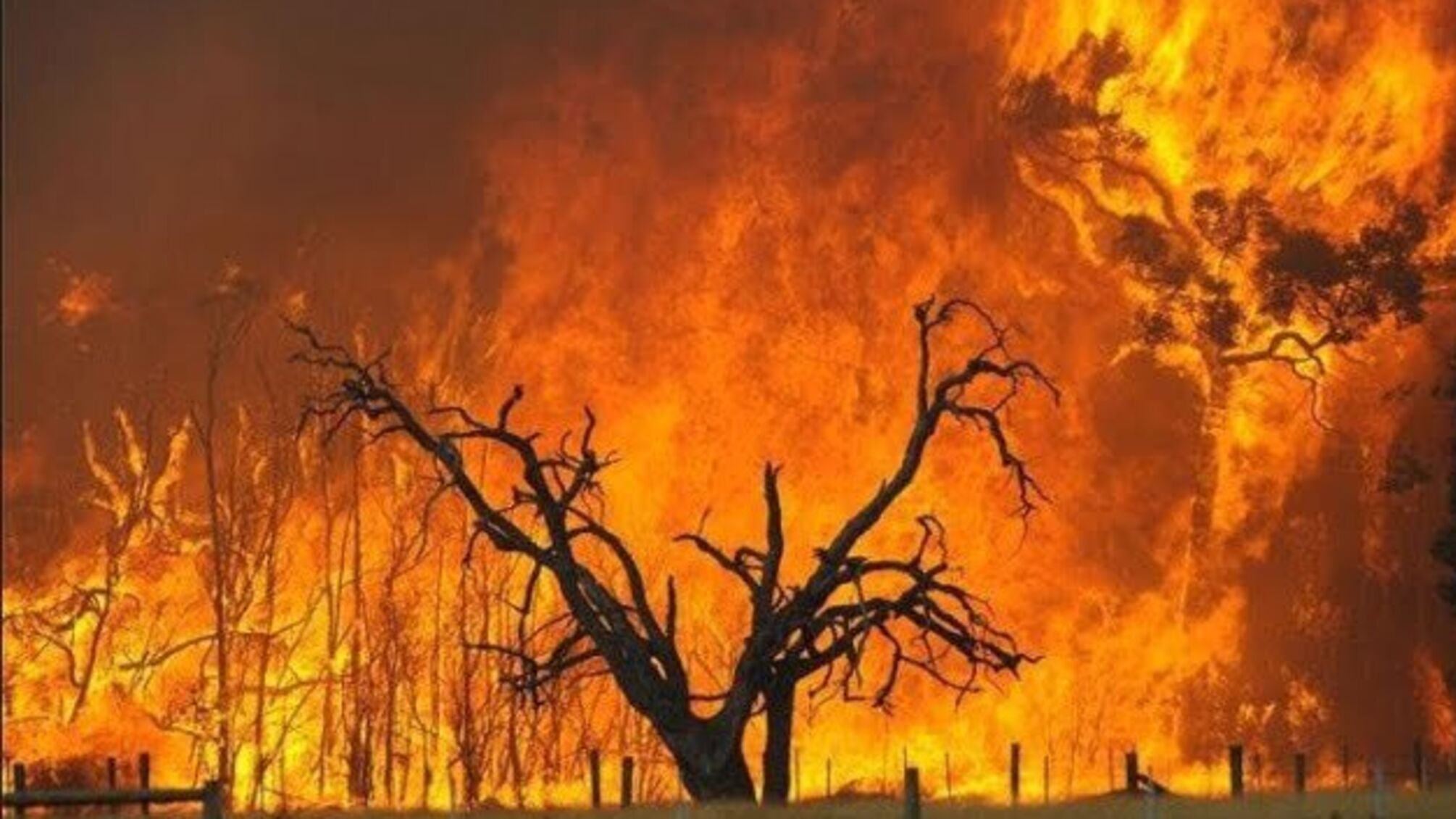 Пожежі в Туреччині, Італії та Греції впливають на погоду в Україні – синоптики