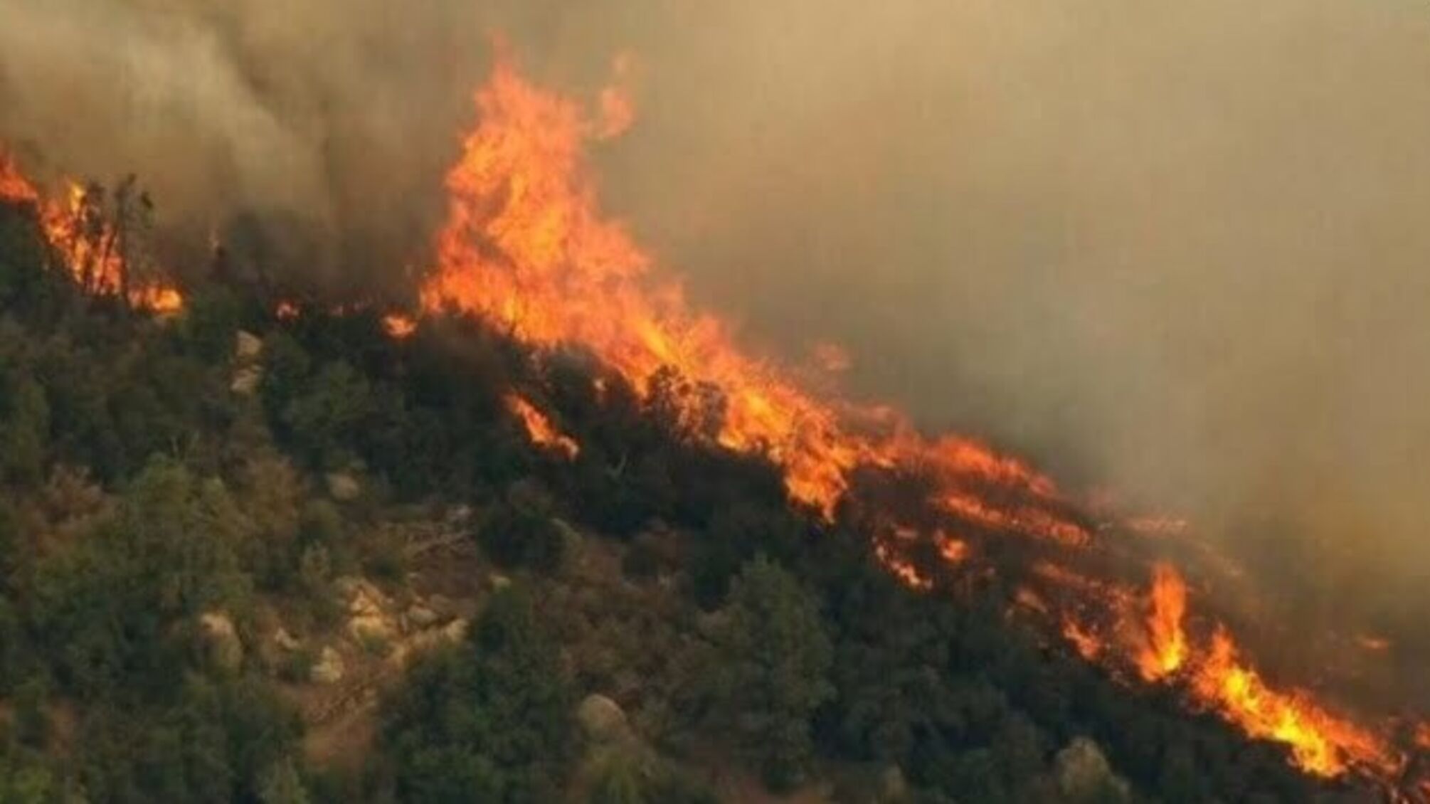 Україна готова допомогти Албанії у боротьбі з лісовими пожежами - МЗС