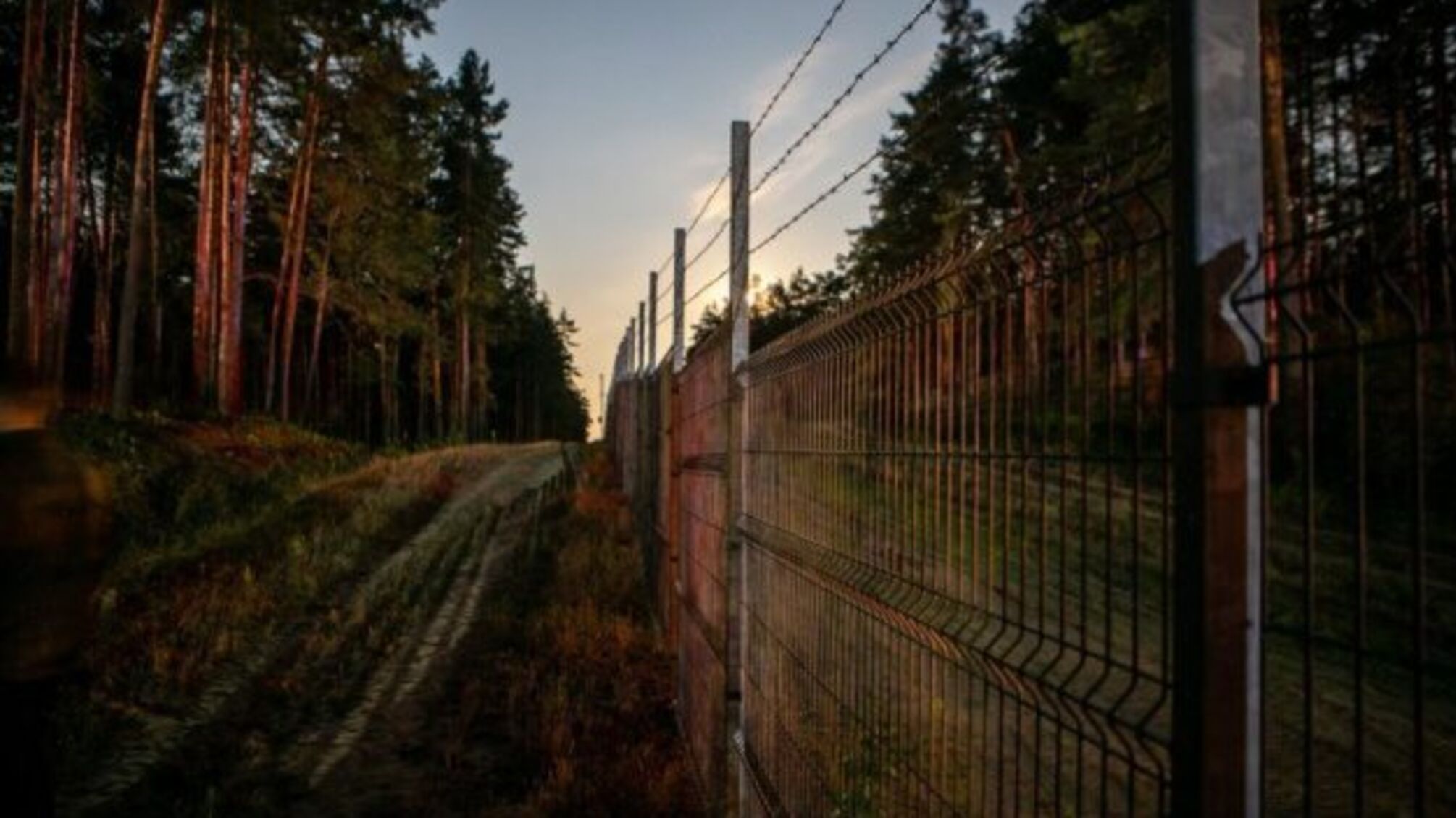 Зеленський обговорив з Наусєдою ситуацію на білорусько-литовському кордоні