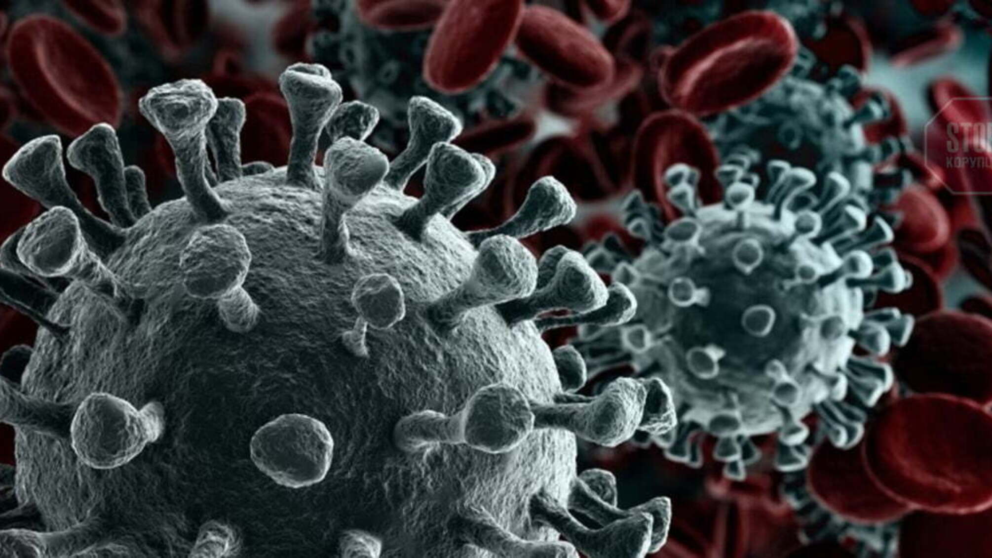 У ПАР виявили новий штам коронавірусу під назвою С.1.2