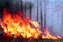 За поджог леса житель Тернопольщины заплатит 175 тыс. грн