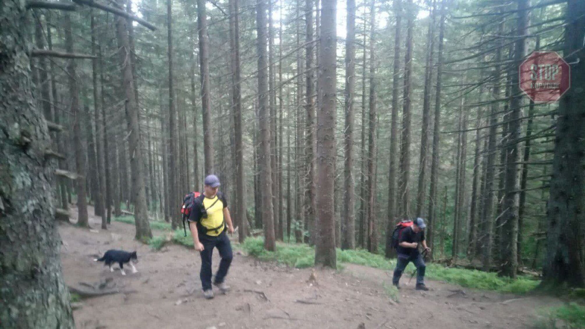 В Карпатах потерялся 6-летний мальчик (фото, видео)