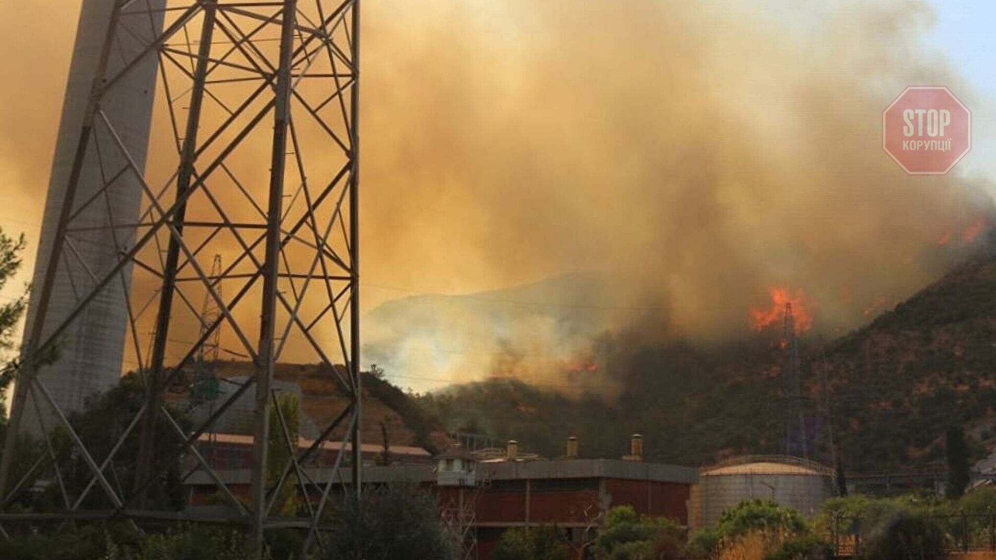 Лісові пожежі в Туреччині: полум'я наблизилося до теплоелектростанції
