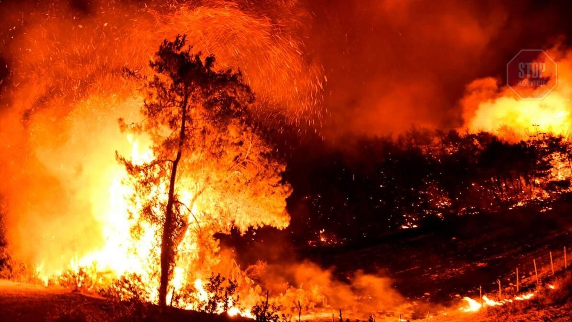 В Турции полиция арестовала подозреваемого в поджигании лесов