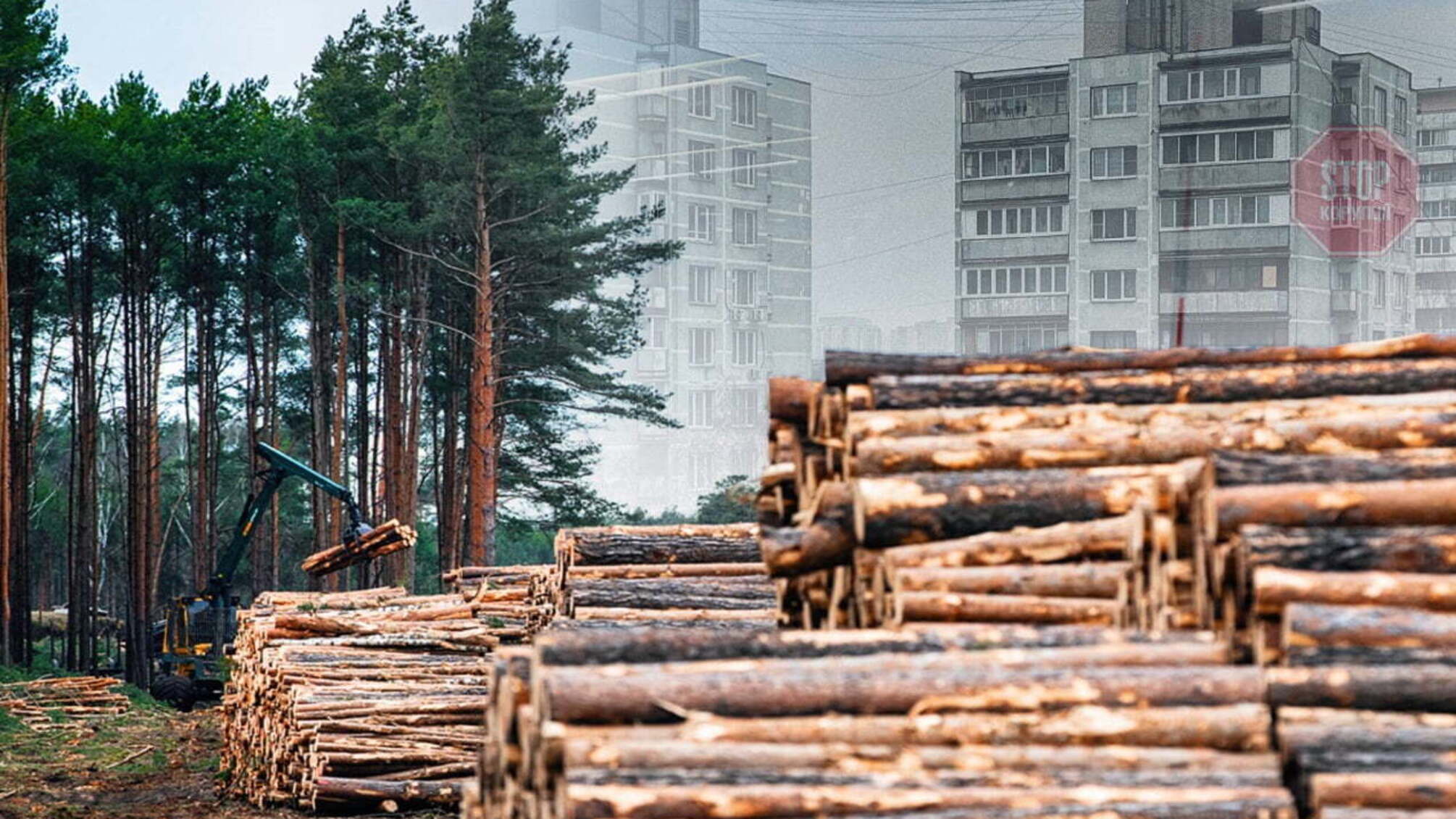 Рекреационную зону отдали под элитное строительство? На Киевщине застраивают Чернечий лес
