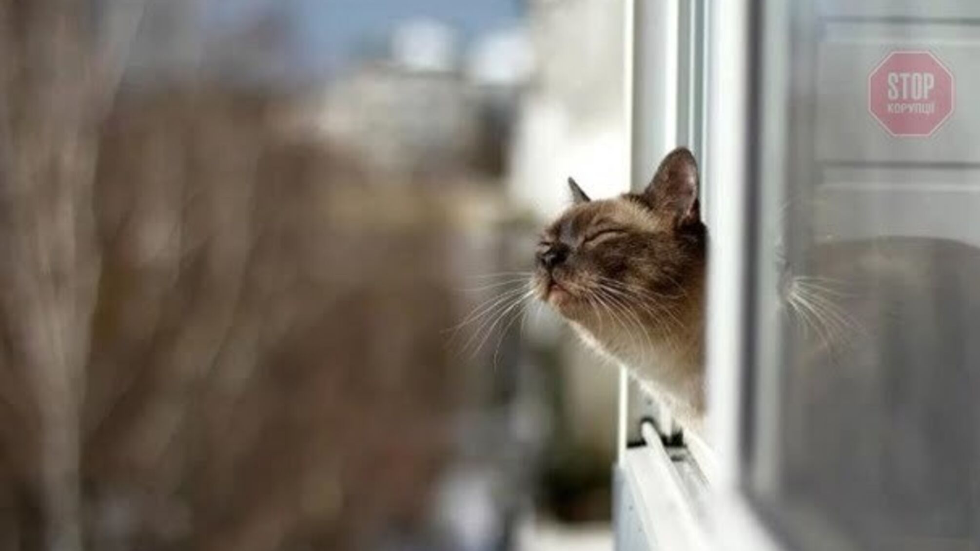 Різке похолодання: холодний циклон наближається до України