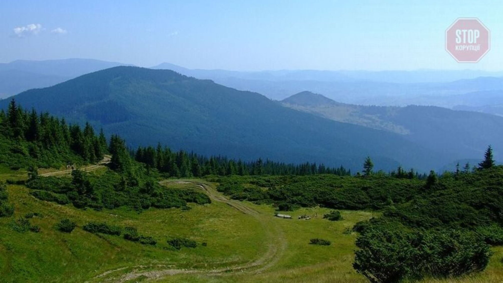 Пішли за грибами: на Прикарпатті знайшли тіла двох чоловіків