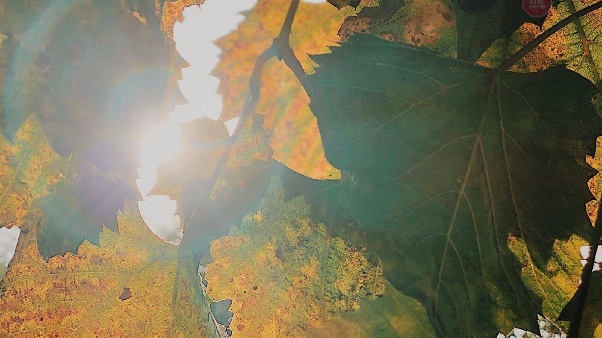 На початку жовтня в Україні очікуються сонячна погода та нічні приморозки